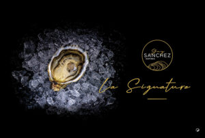 Couvercle en contreplaqué Signature