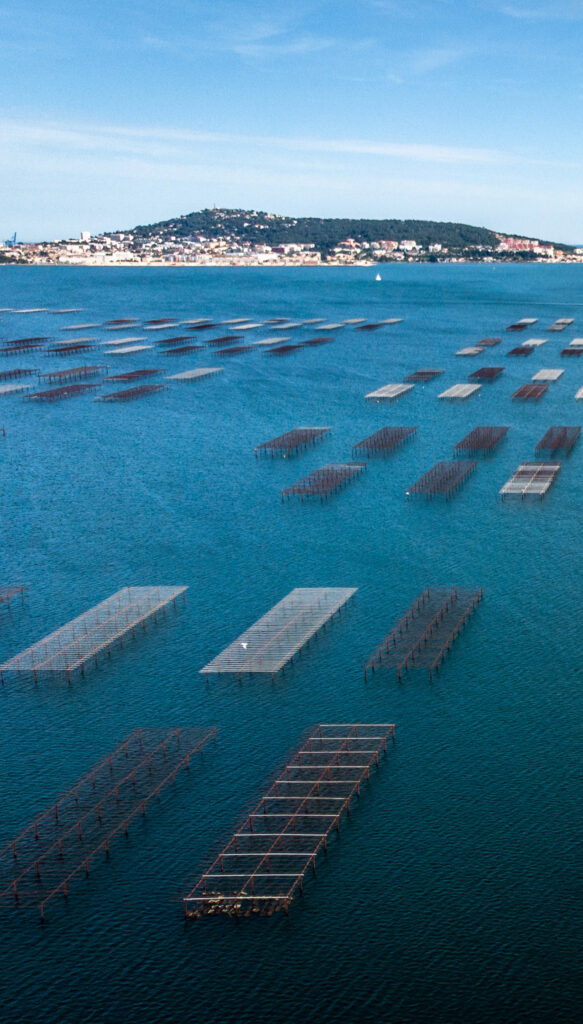 Parc à huîtres sur l'étang de Thau